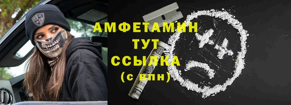 сатива Алзамай