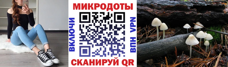 блэк спрут как войти  Покачи  Галлюциногенные грибы мухоморы 